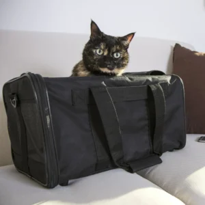 Easy Explorer Medium Guaranteed On-Board Travel Pet Carrier